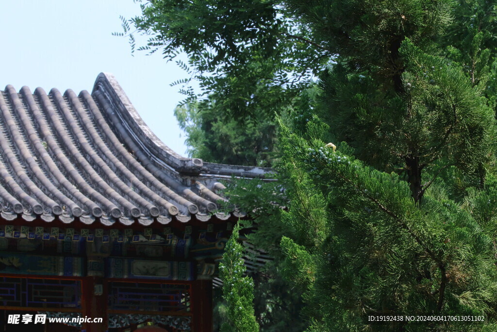 公园风景  