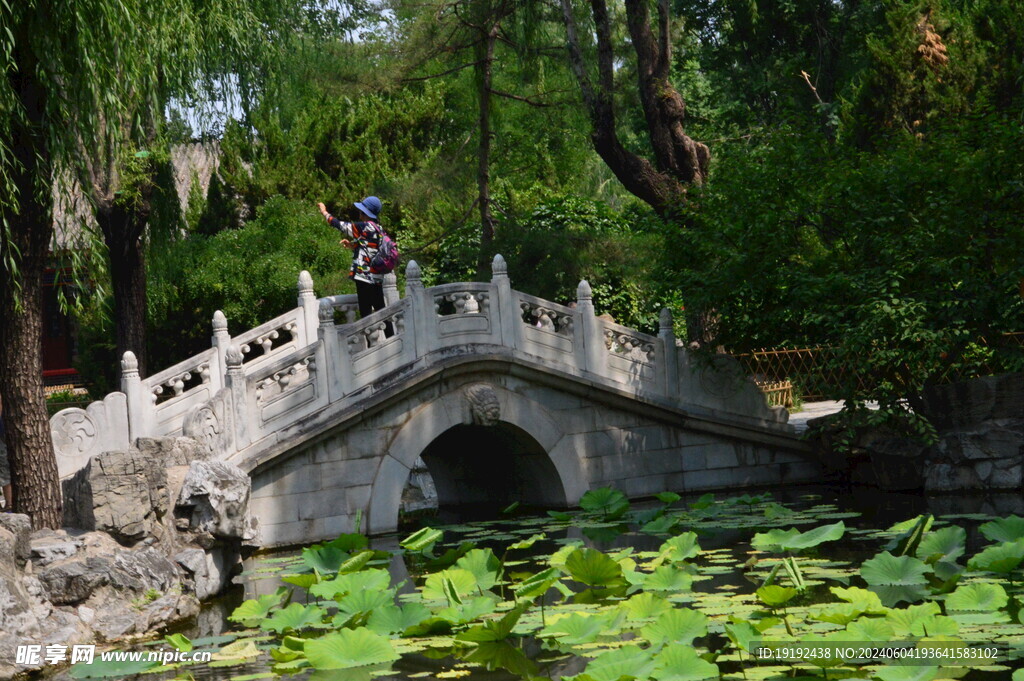 公园风景  