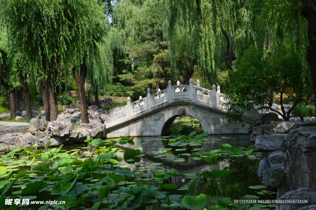 公园风景  