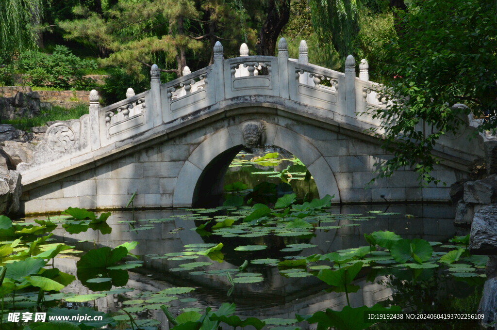 公园风景  