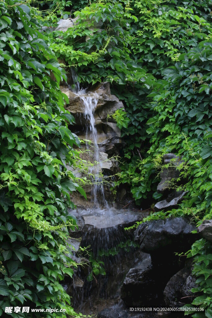 公园风景  