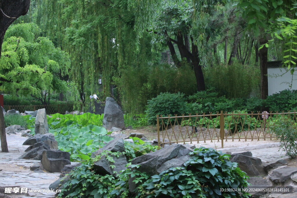 公园风景  