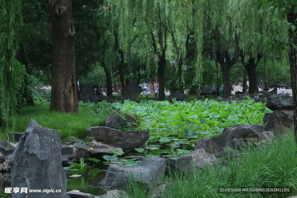 公园风景 