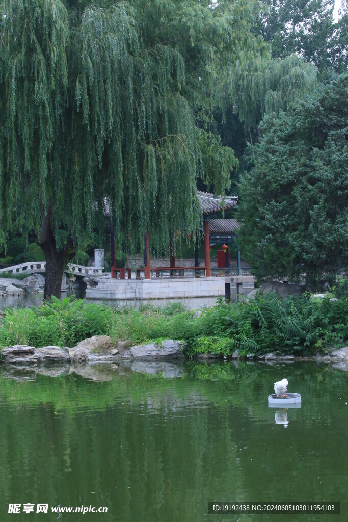 公园风景  