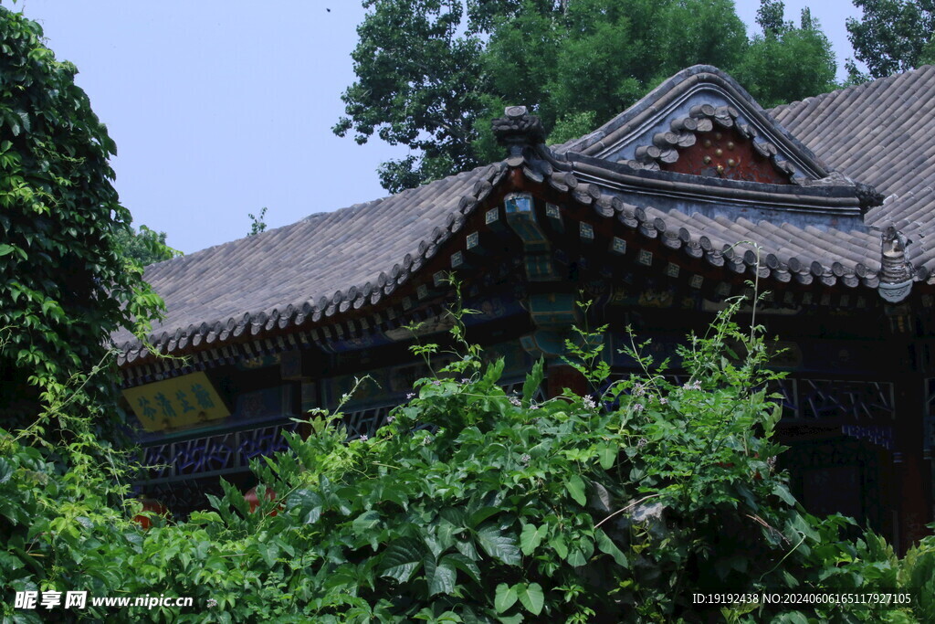 公园风景  