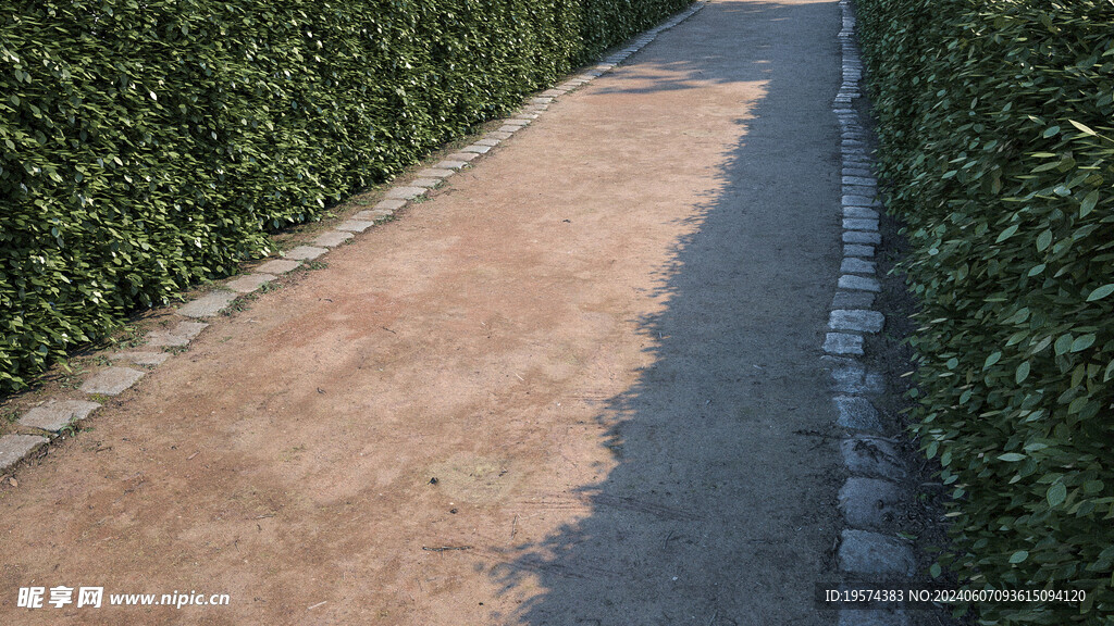 C4D模型 路