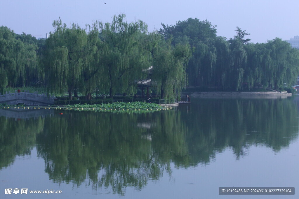 公园风景 