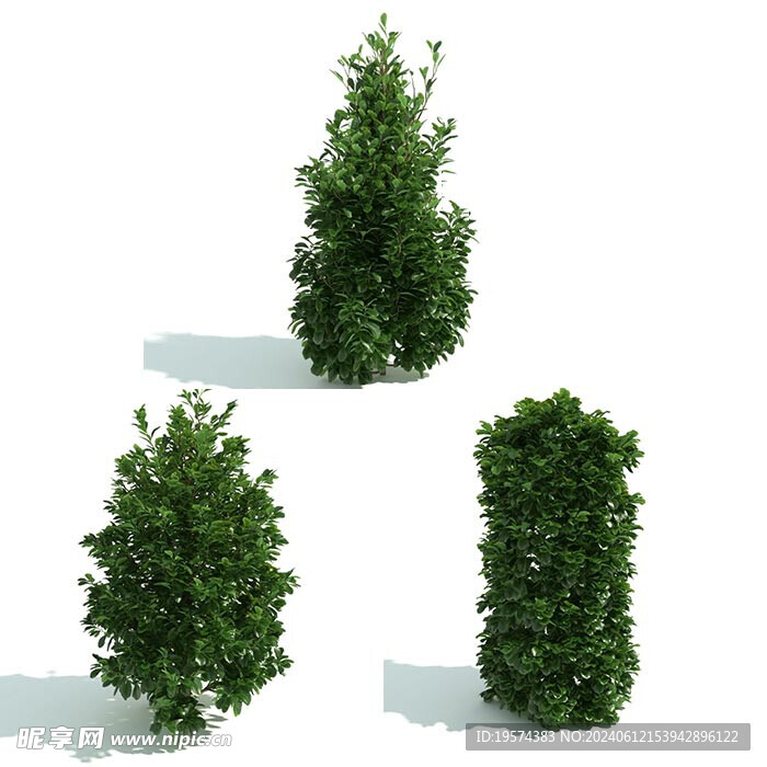 C4D模型 绿色植物
