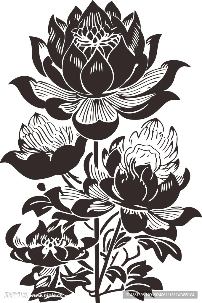 玫瑰花