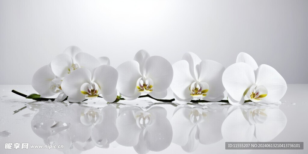 创意花朵水彩海报背景