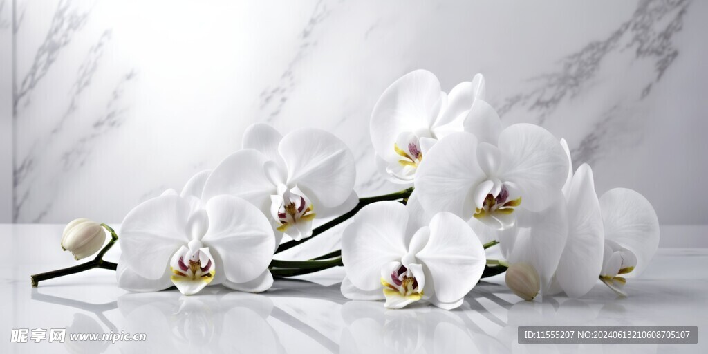 创意多彩花朵水彩海报背景