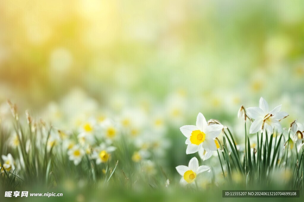 创意多彩花朵水彩海报背景