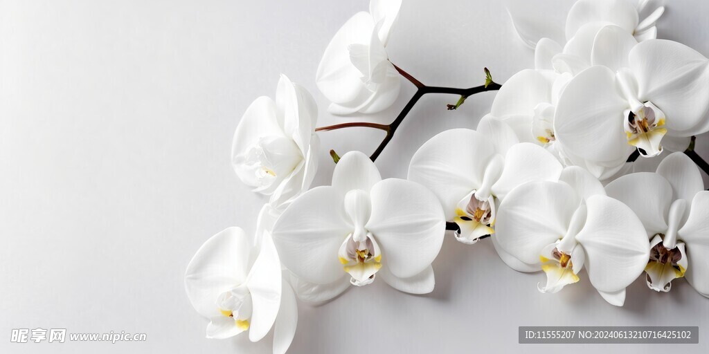 创意多彩花朵水彩海报背景