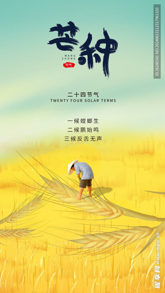 芒种