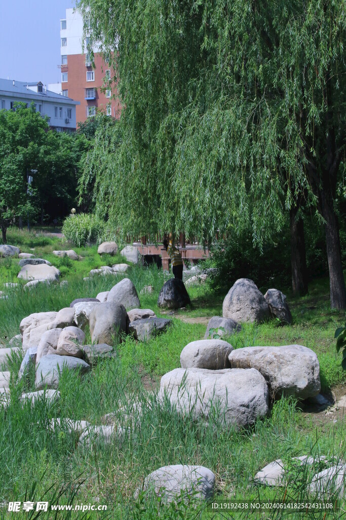 公园风景 
