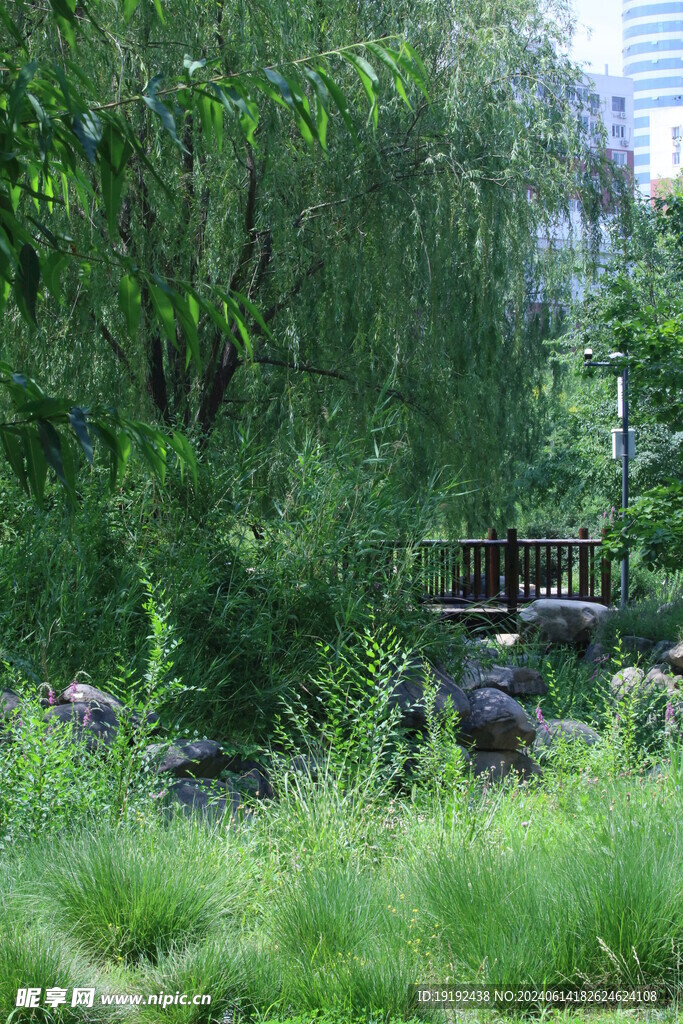 公园风景