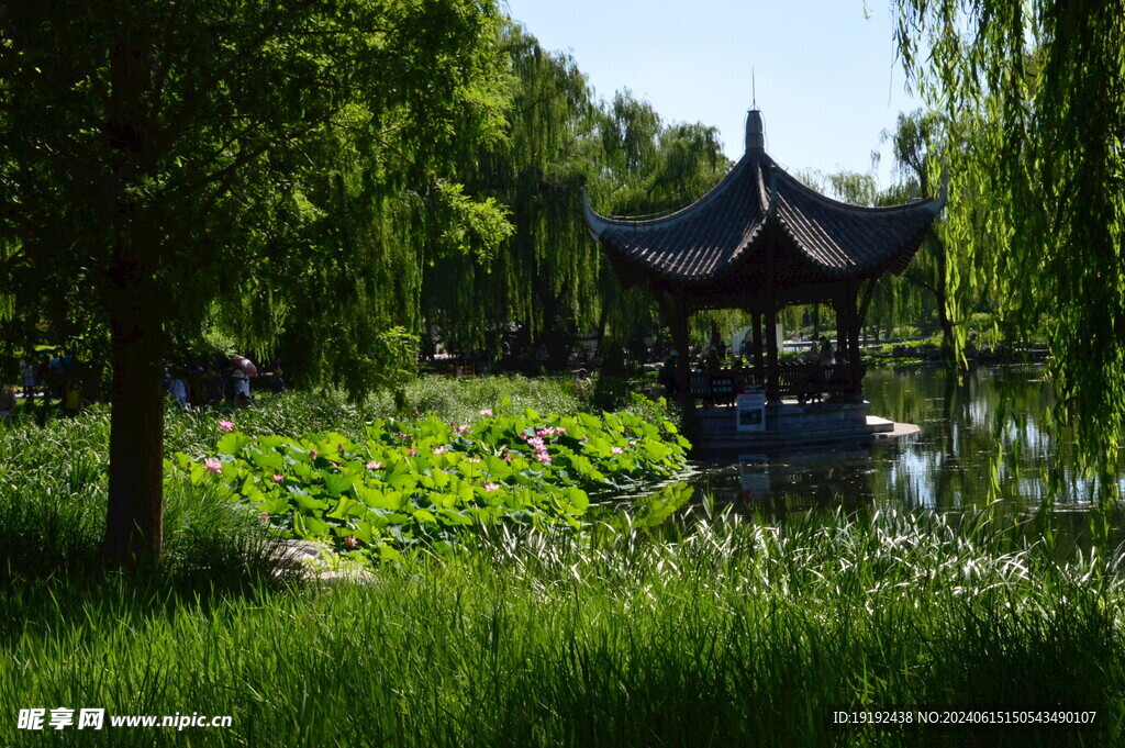 公园风景 
