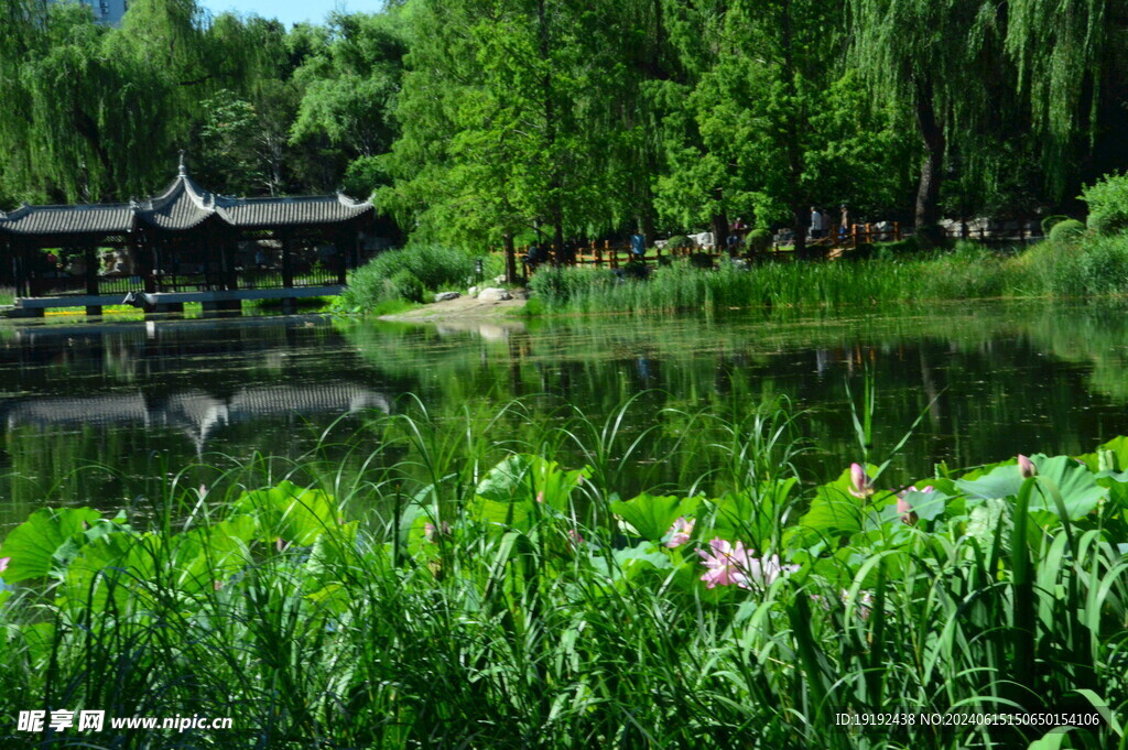 公园风景  
