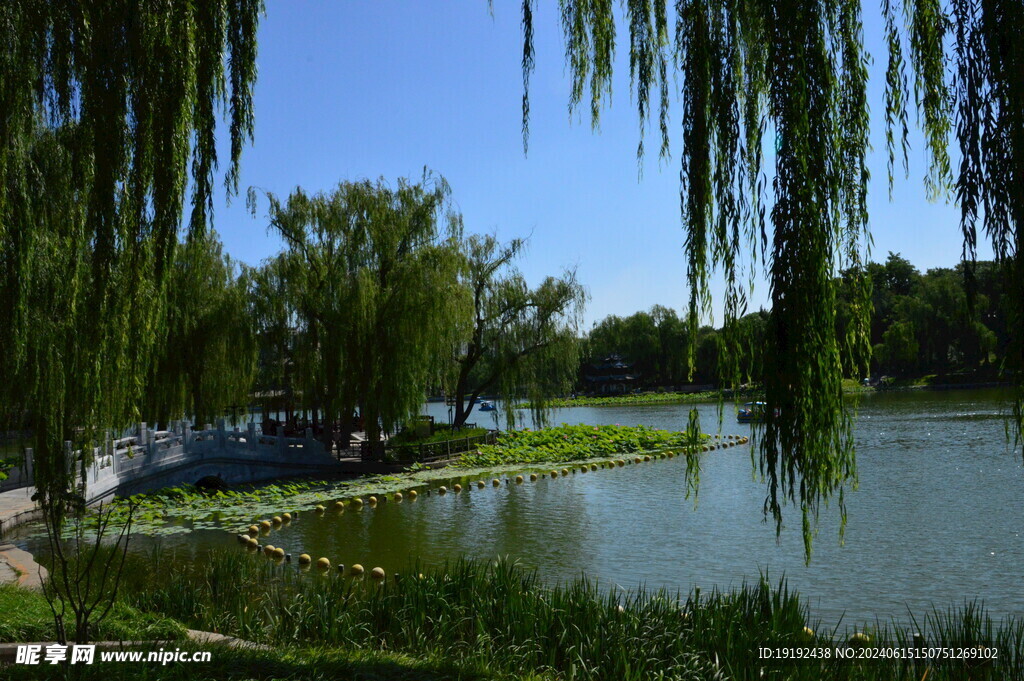 湖水风景 