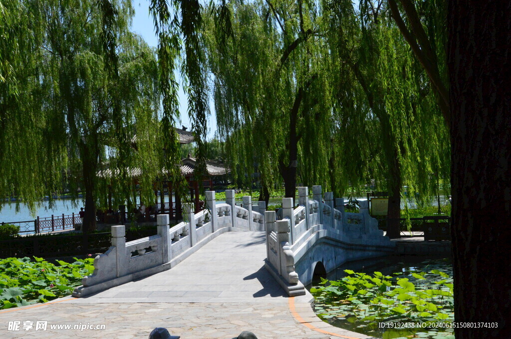 公园风景 