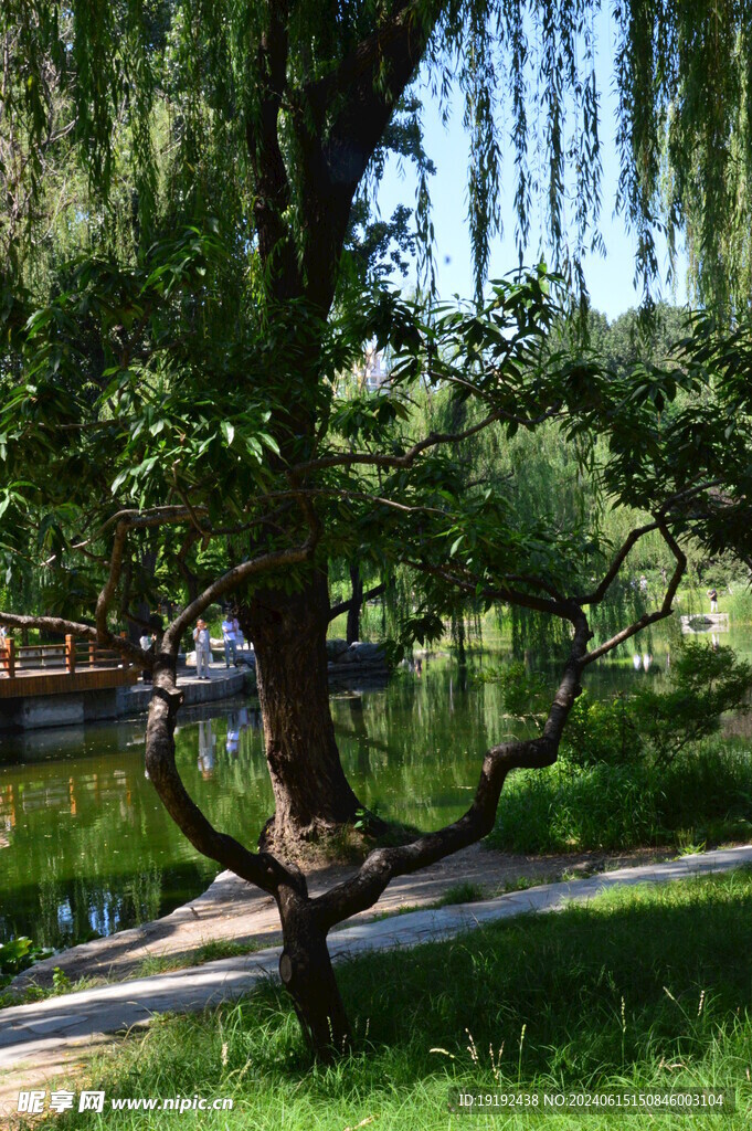 公园风景  
