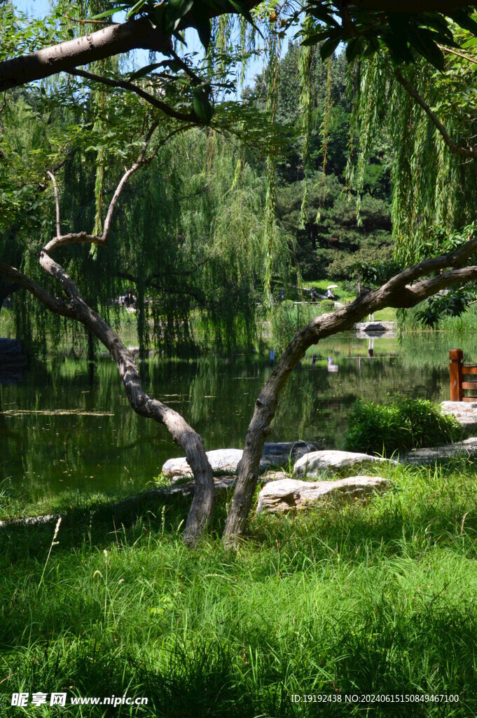 湖水风景 