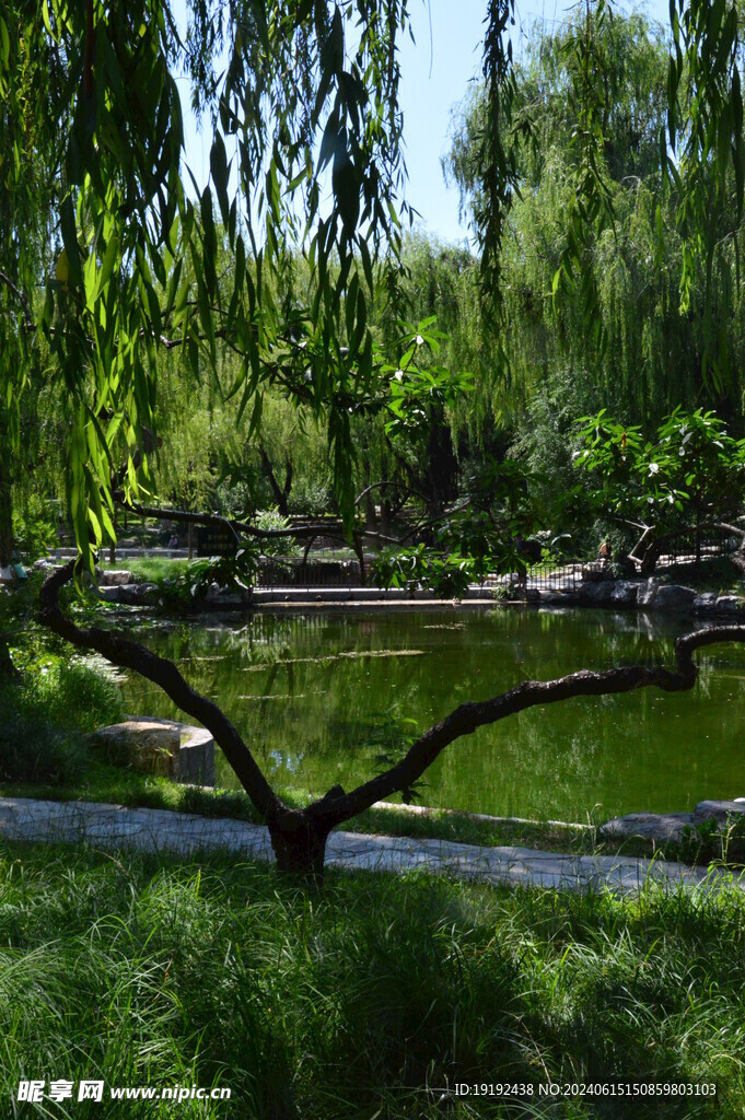 公园风景  