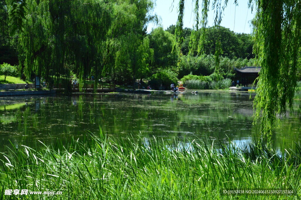 公园风景 