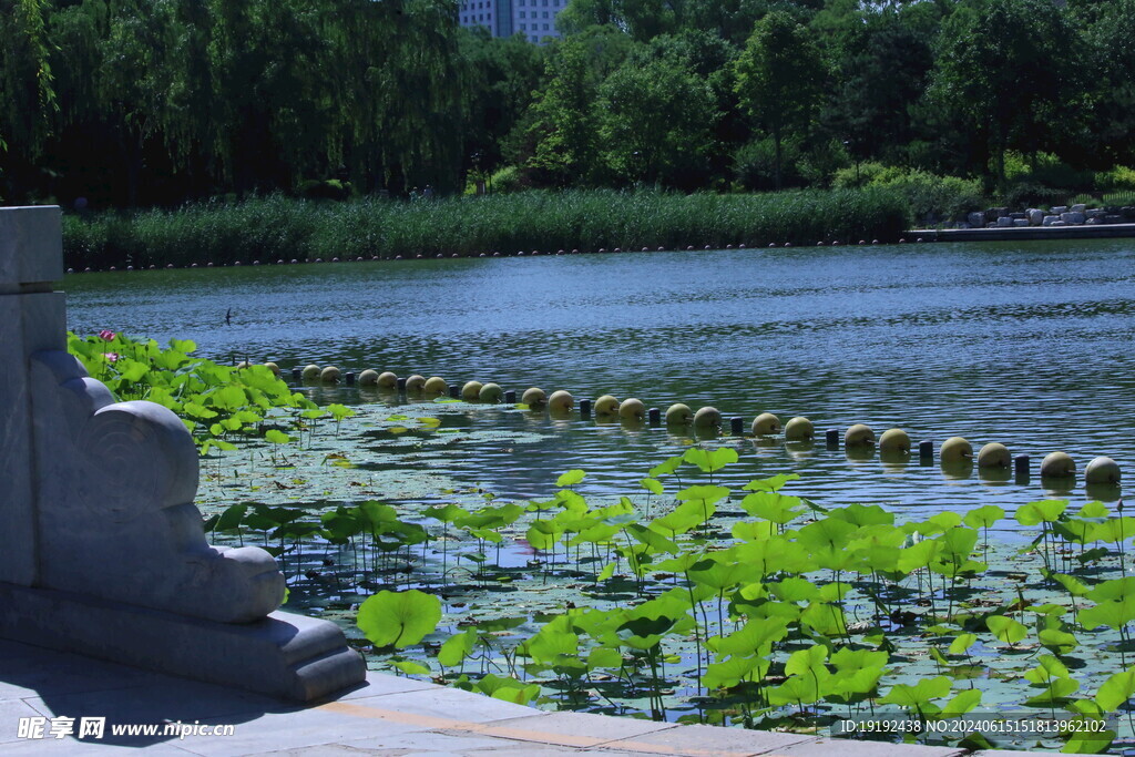 公园风景  
