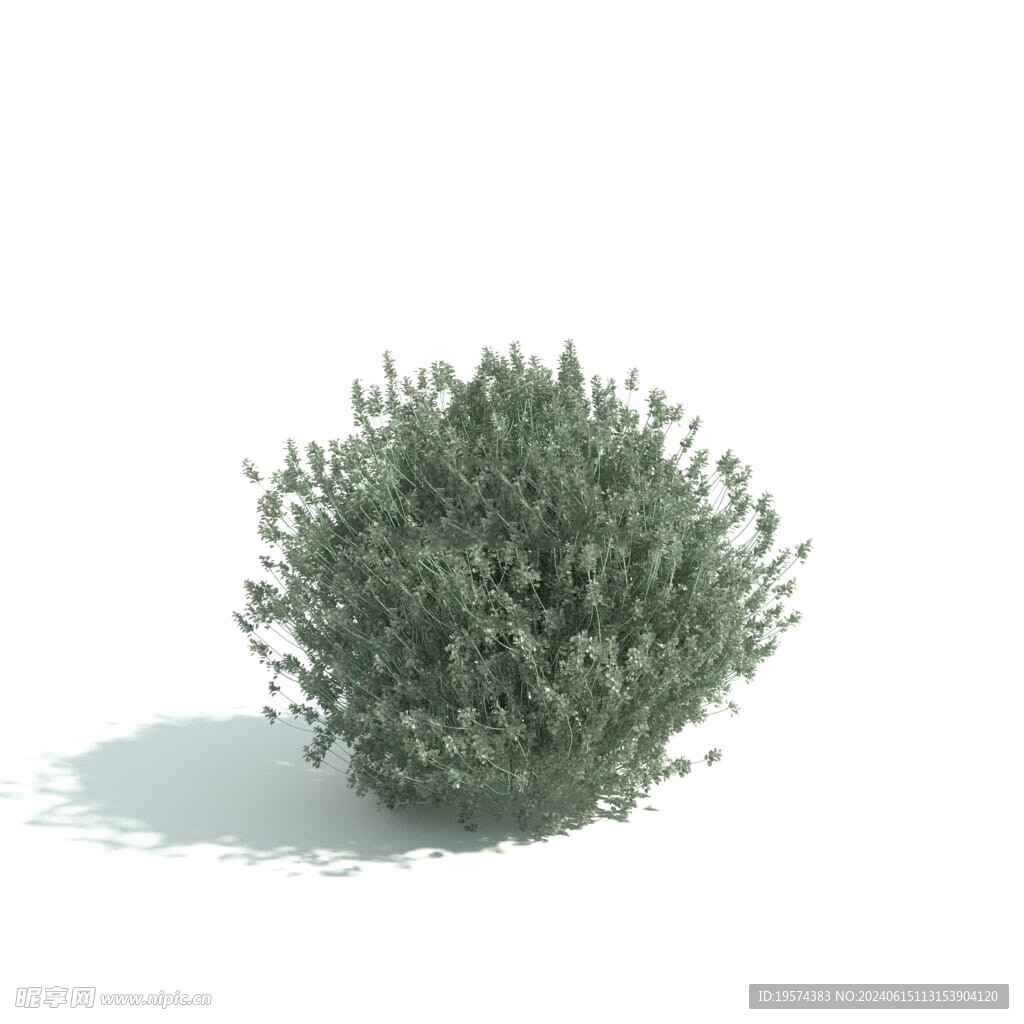 C4D模型 绿色植物