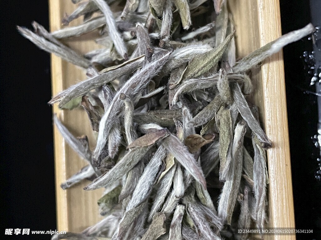 福鼎白茶白毫银针干茶