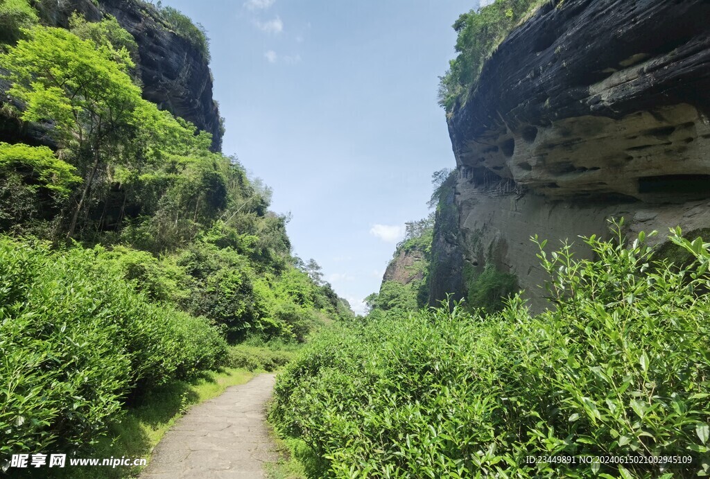 武夷山景区三坑两涧慧苑坑