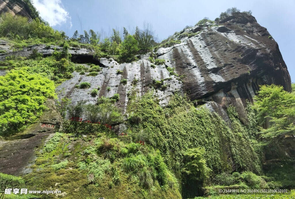 武夷山景区母树大红袍景点