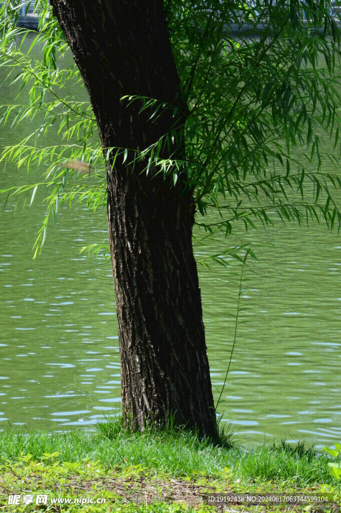 公园风景  