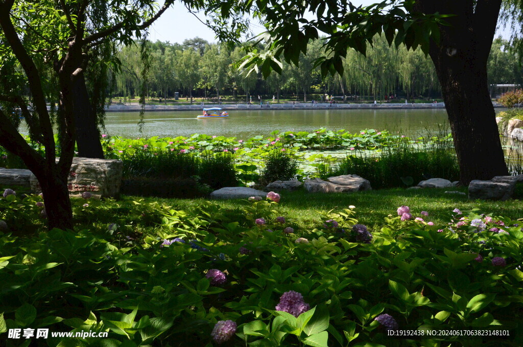 公园风景  