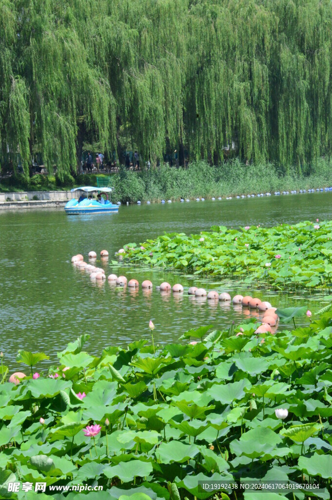 公园风景 