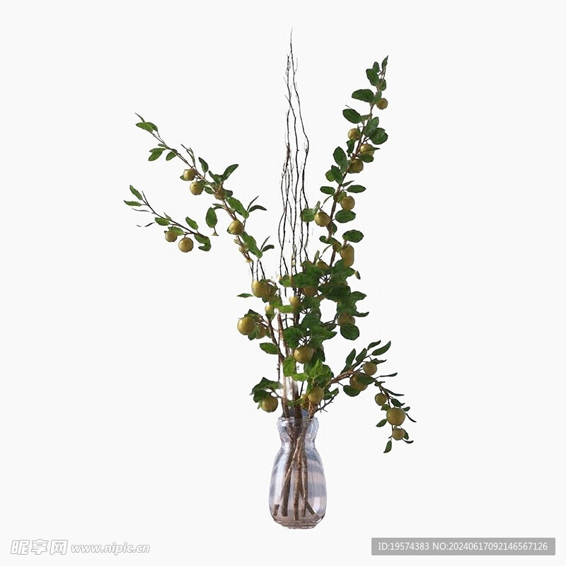 C4D模型 绿色植物