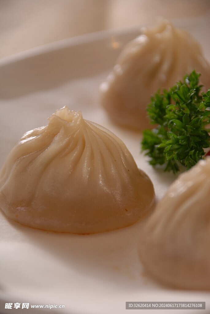 小笼包 生煎包