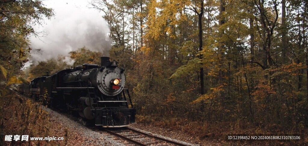 前进的蒸汽火车行驶视频