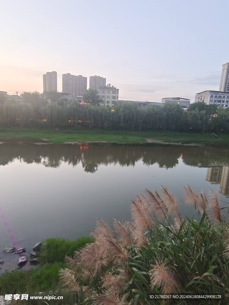 河边风景