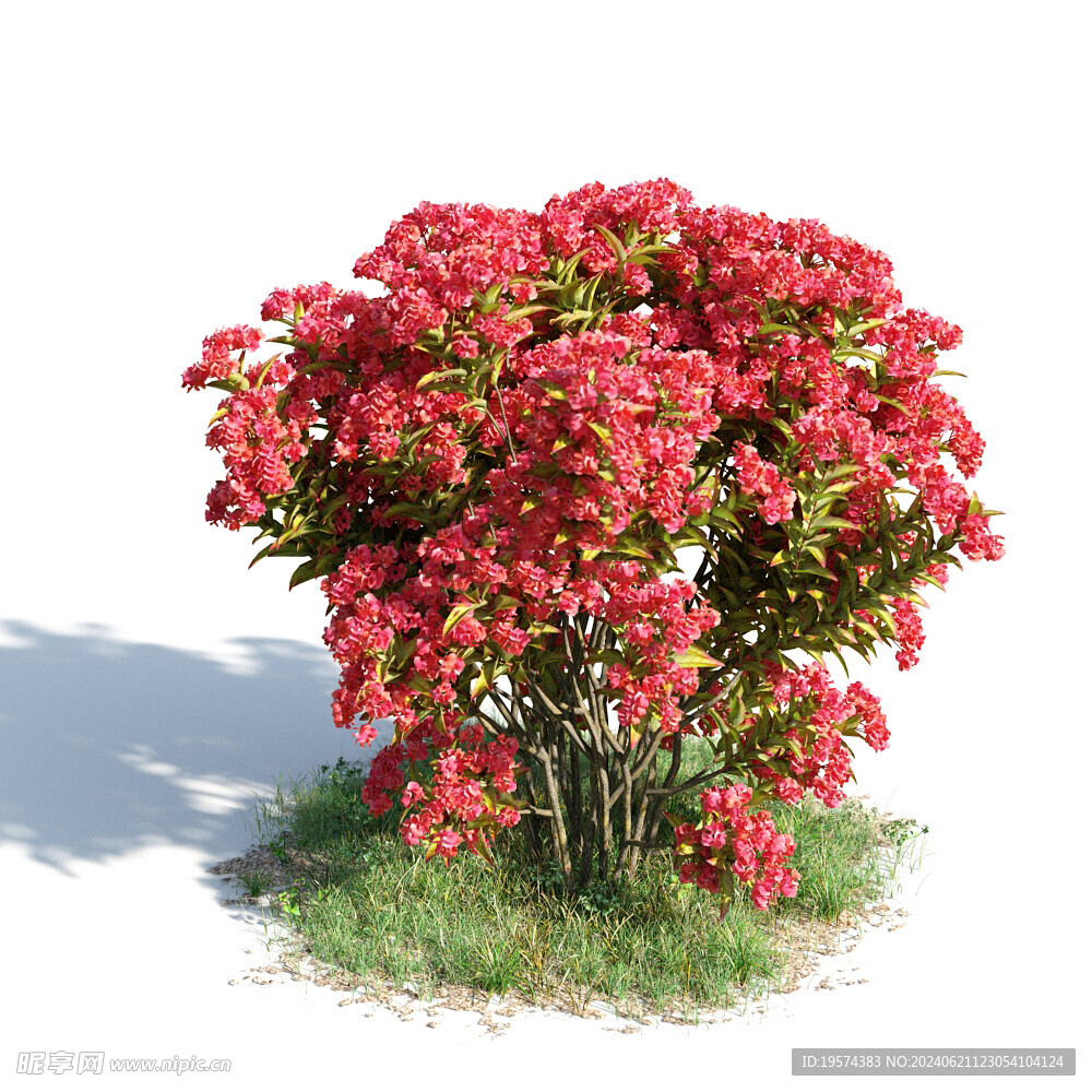 C4D模型 绿色植物