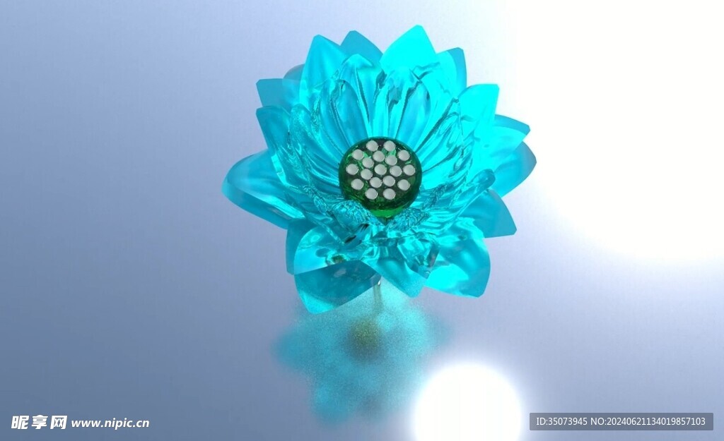 荷花建模视频动画