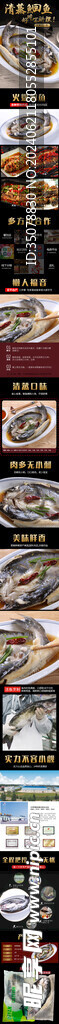 清蒸鮰鱼详情