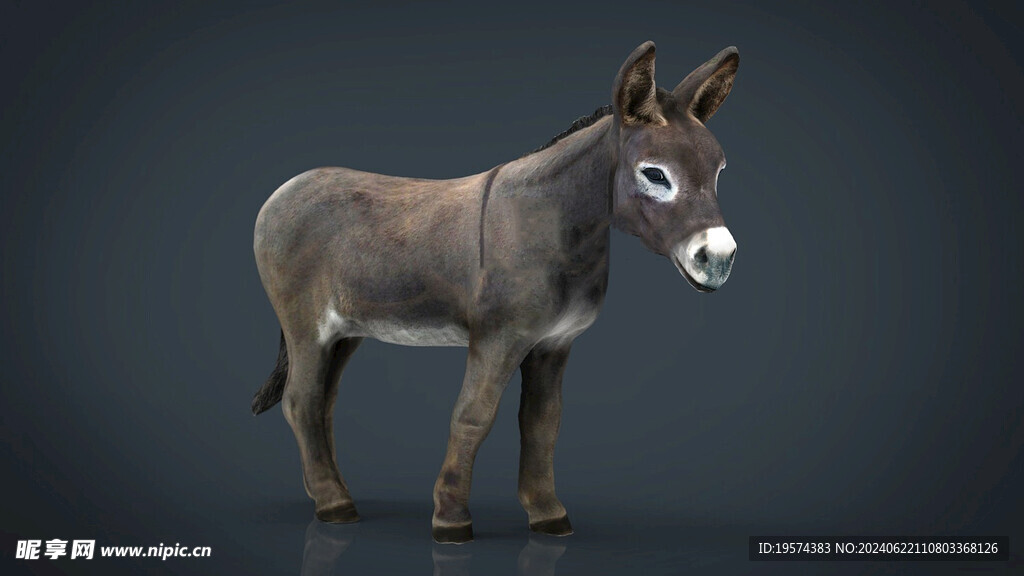 C4D模型 驴子