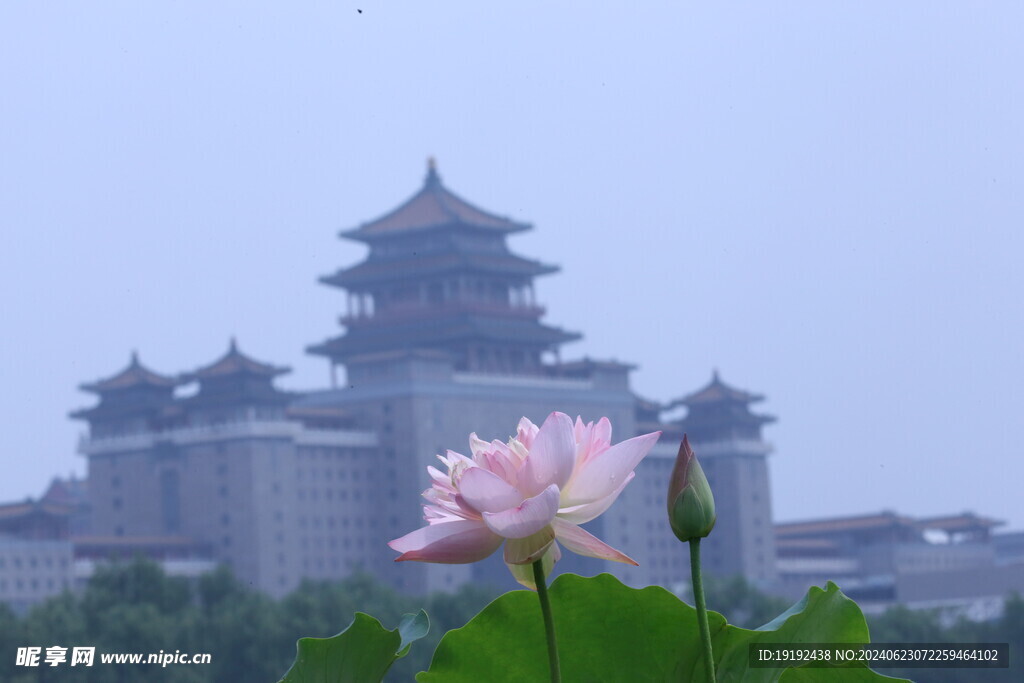 公园风景  
