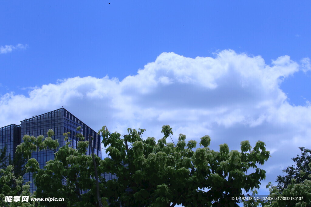 公园风景  