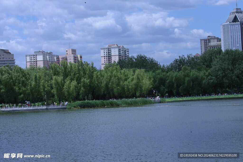 公园风景  