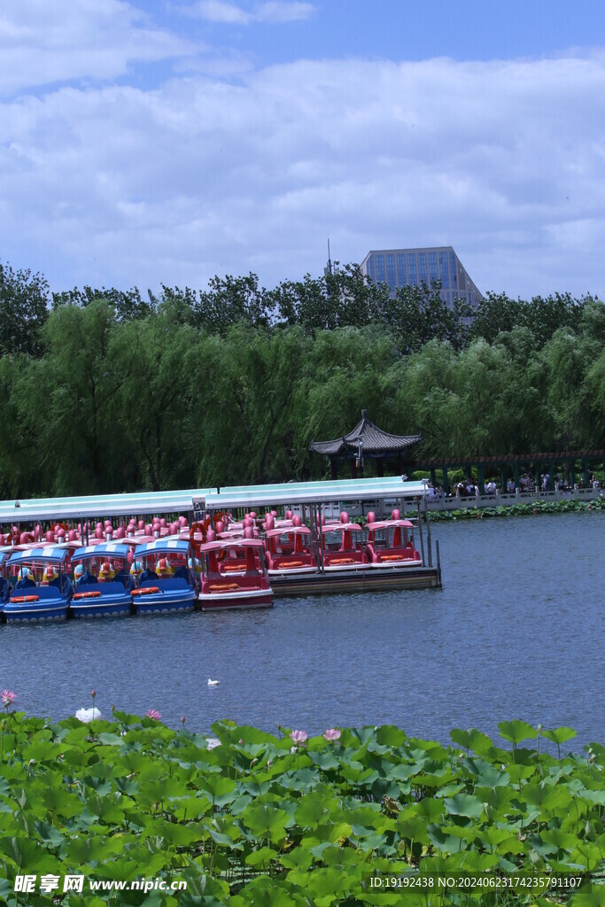 公园风景  