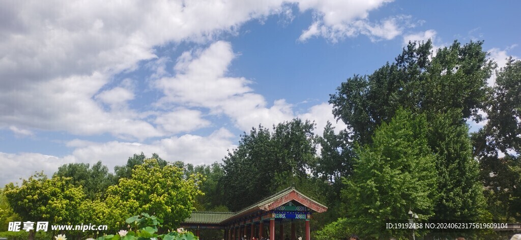 公园风景 