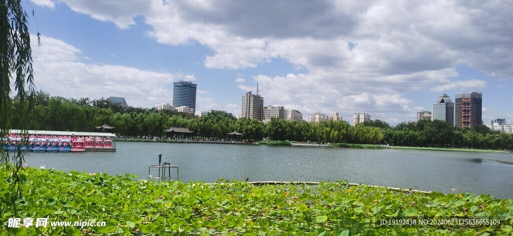 公园风景 